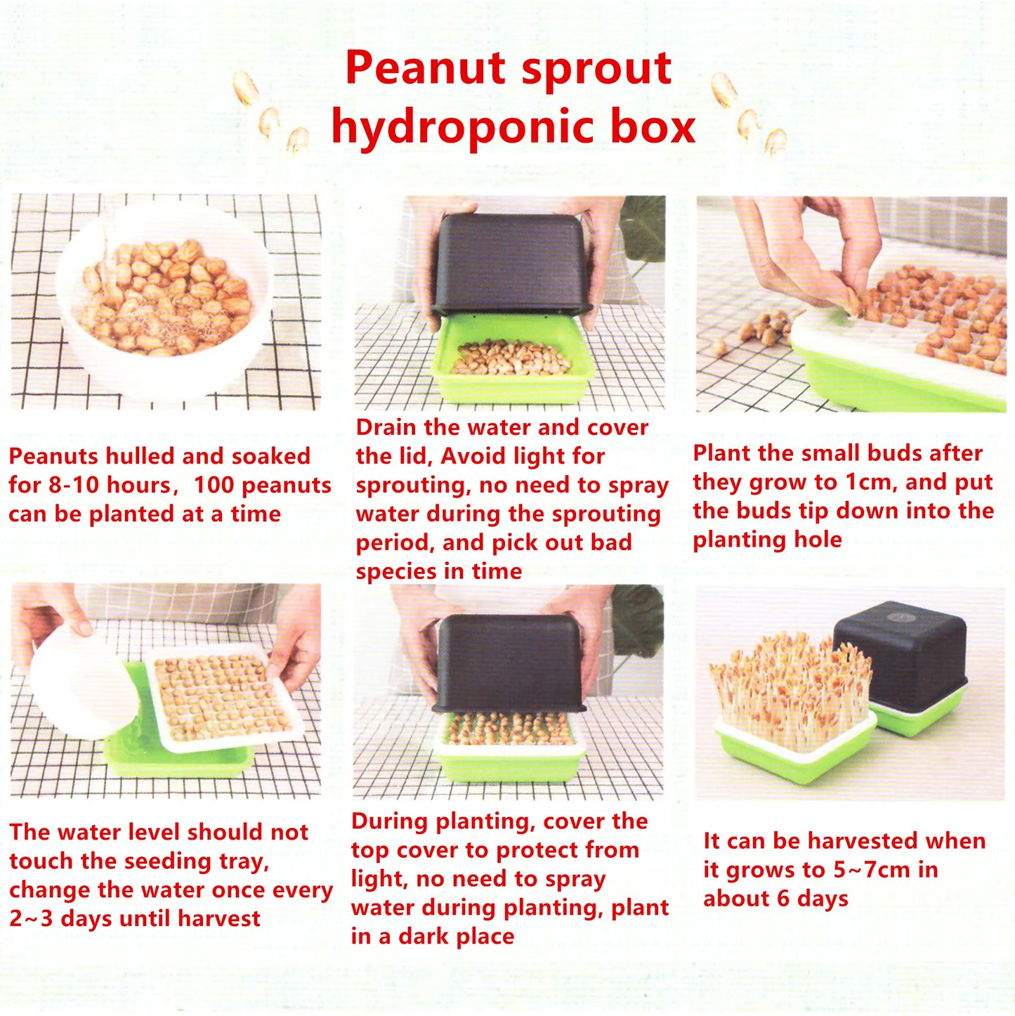 Hydroponic Sprout Box – Soilless Seedling Tray for Beans & Greens