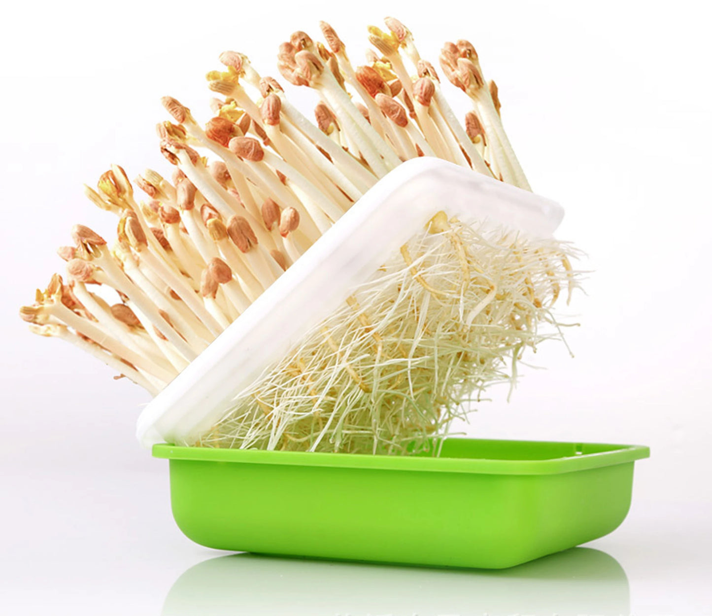 Hydroponic Sprout Box – Soilless Seedling Tray for Beans & Greens