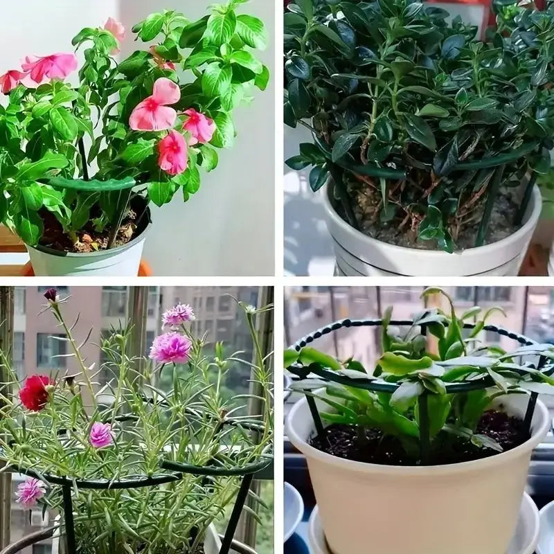 Plant Support Stakes – Semicircle Trellis for Potted Vines & Flowers