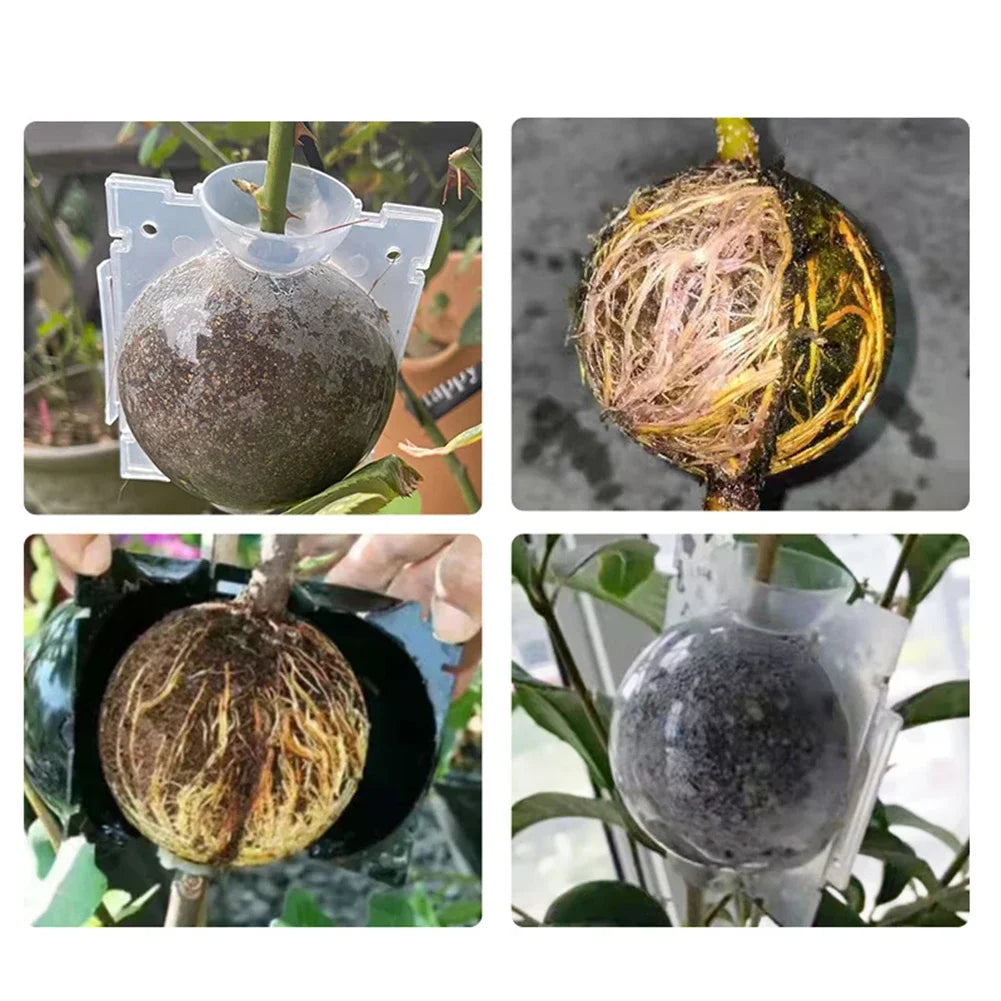 Plant Rooting Ball Propagation Grafting Nursery Pods β 1/3/6/9 Pcs (5/8/12cm)