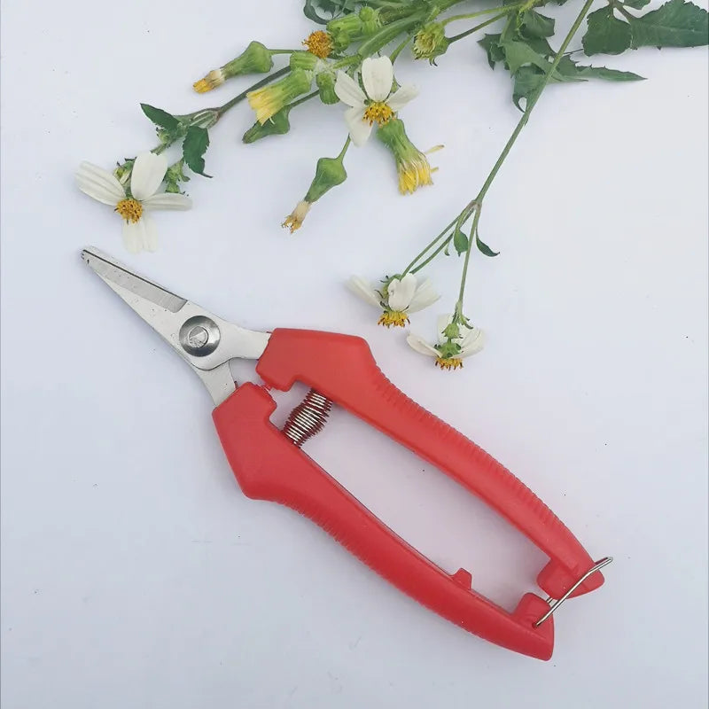 Compact Garden Pruning Shears – Stainless Steel for Fruit & Herbs
