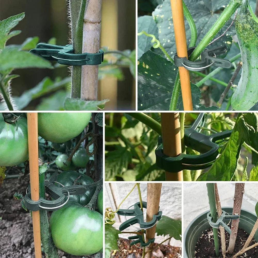 20–500PCS Reusable Plant Support Clips – Stem & Vine Fasteners for Tomatoes, Flowers & Vegetables