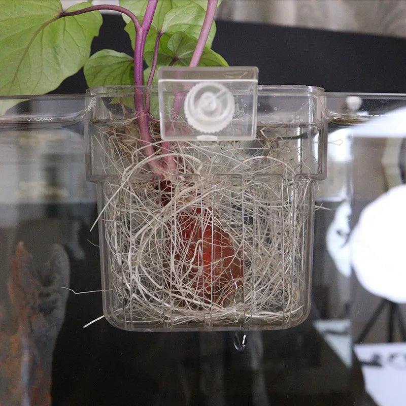 Aquarium Hydroponic Plant Cup – Water Grass Holder for Fish Tanks