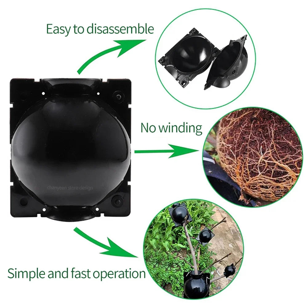 Plant Rooting Ball Propagation Grafting Nursery Pods β 1/3/6/9 Pcs (5/8/12cm)
