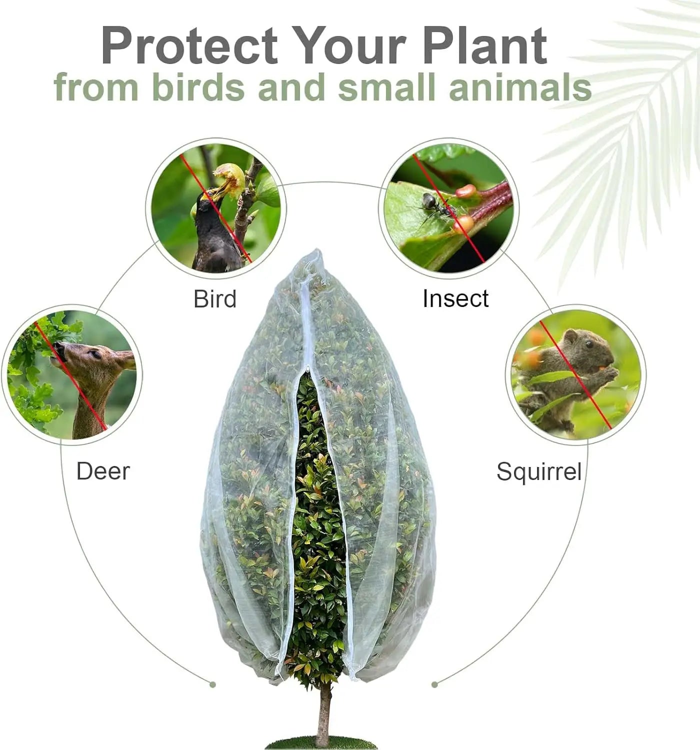 Plant Protection Net Bags – Anti-Bird & Pest Cover for Fruits & Veggies