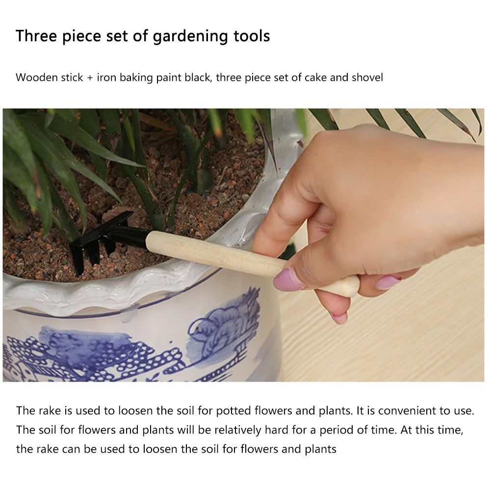 Mini Gardening Tool Set – 3pcs Rake & Shovel Kit for Pots & Bonsai