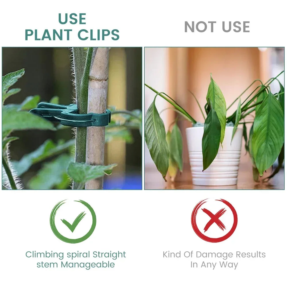 20–500PCS Reusable Plant Support Clips – Stem & Vine Fasteners for Tomatoes, Flowers & Vegetables