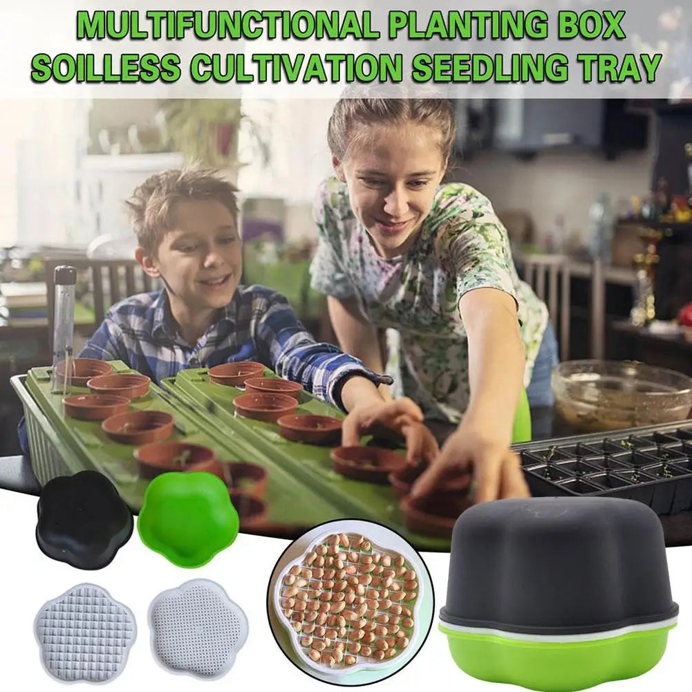 Hydroponic Sprout Box – Soilless Seedling Tray for Beans & Cat Grass