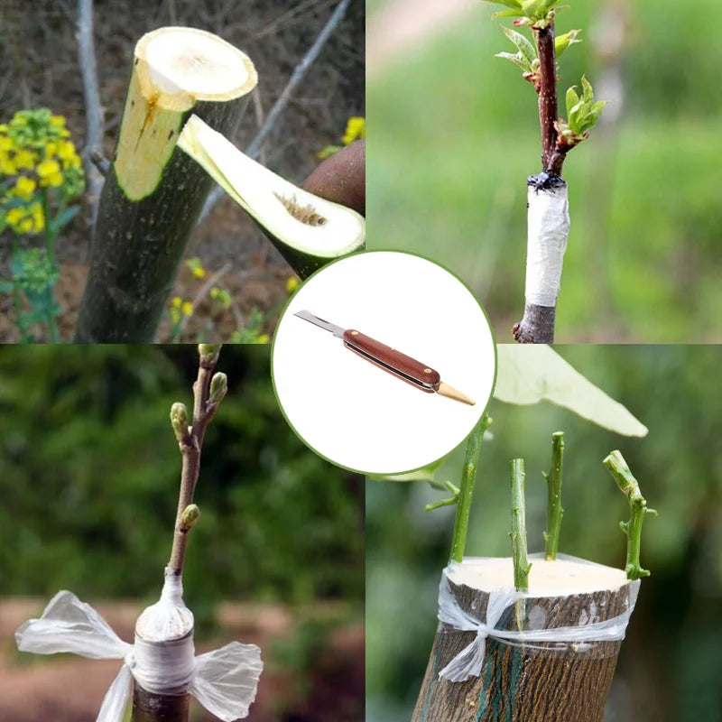 Foldable Grafting Knife – Stainless Steel Garden Pruning Cutter Tool