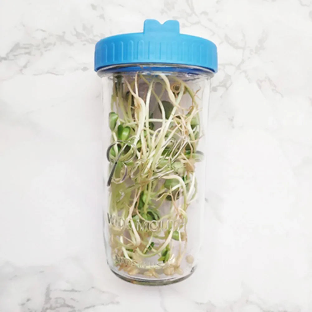 Sprouting Lid for Mason Jars – BPA-Free Mesh Cover for Seed Germination