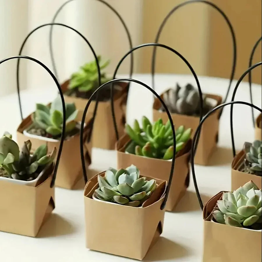 5–20pcs Kraft Paper Plant Boxes – Foldable Hanging Pots 6cm