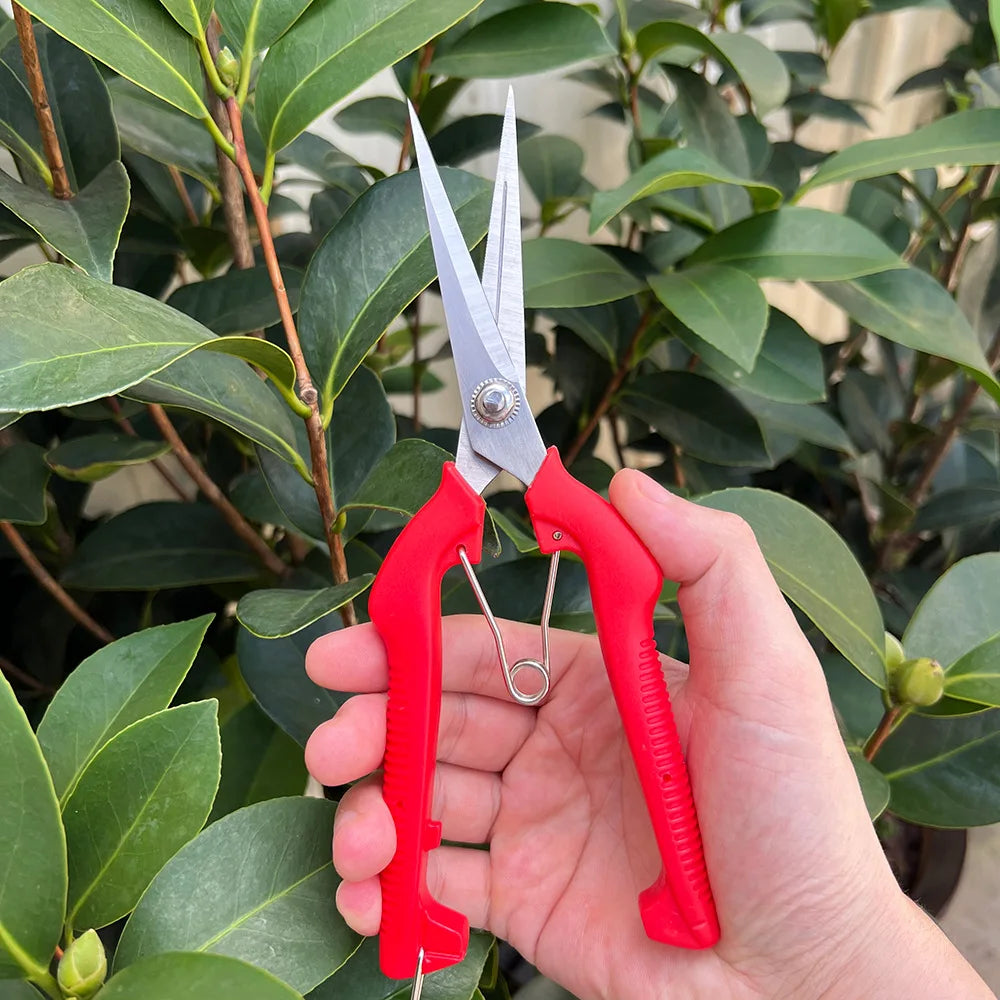 Compact Garden Pruning Shears – Stainless Steel for Fruit & Herbs