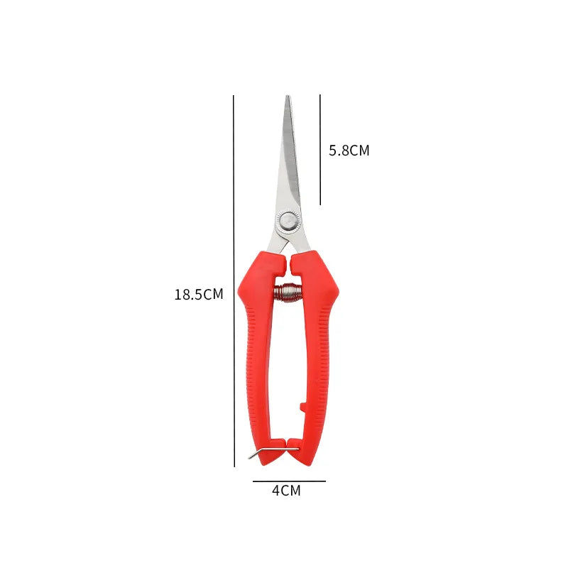 Compact Garden Pruning Shears – Stainless Steel for Fruit & Herbs