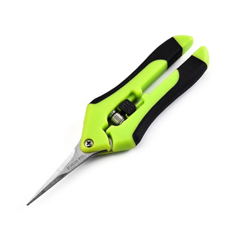 Stainless Steel Pruning Scissors – Fruit & Leaf Trimmer (16.5cm)