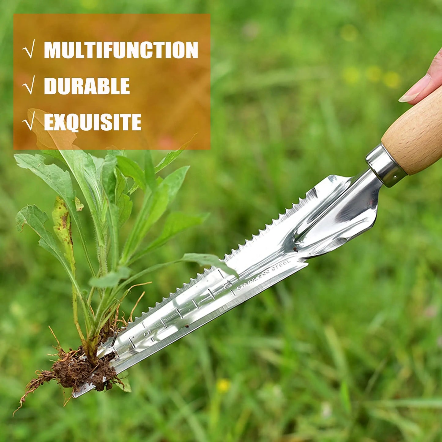 Stainless Steel Weed Puller – Crack Weeder Tool with Wooden Handle