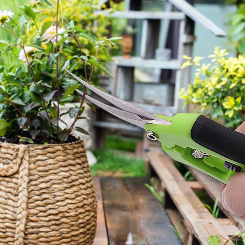 Stainless Steel Pruning Scissors – Fruit & Leaf Trimmer (16.5cm)