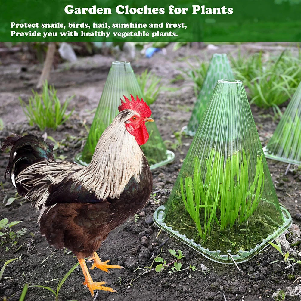 5pcs Reusable Square Plant Growth Tents – Anti-Bird & Frost Covers