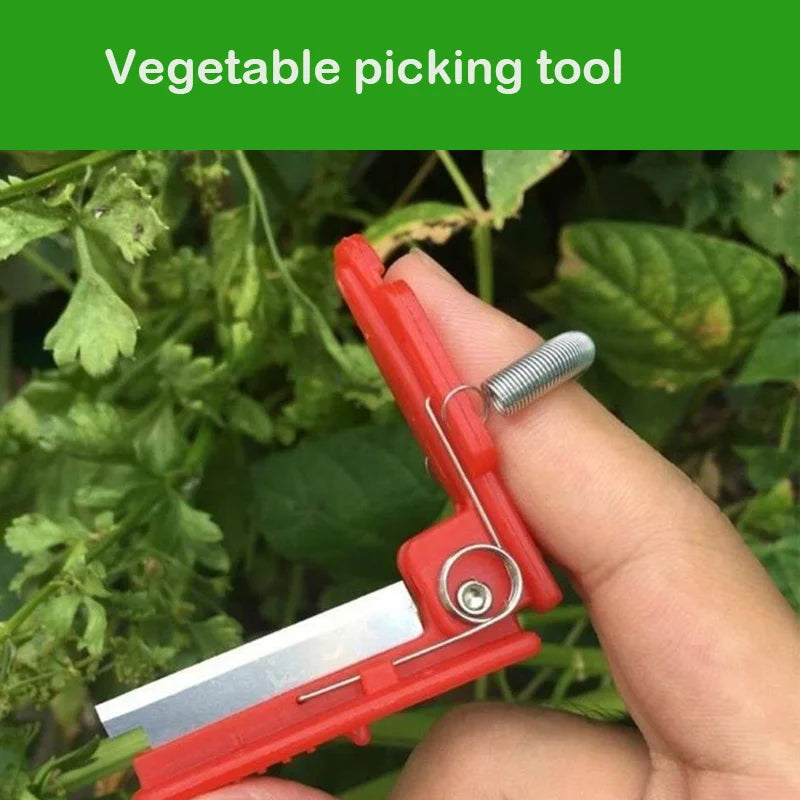 Thumb Knife Fruit & Vegetable Picker – Stainless Steel Harvest Tool