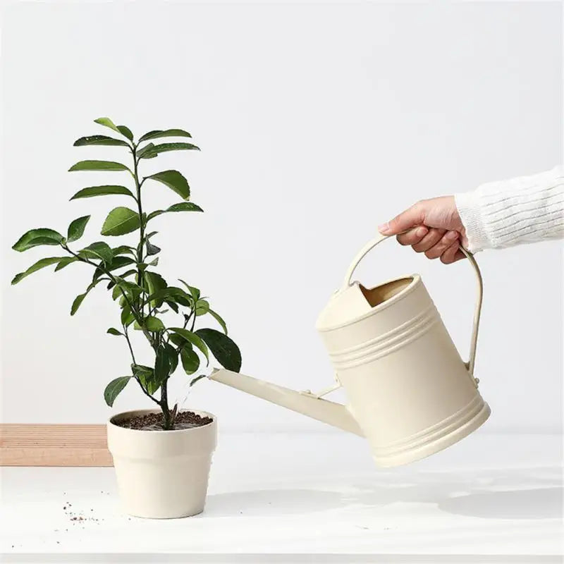 2L Long Spout Watering Can – Indoor & Outdoor Plant Sprinkler