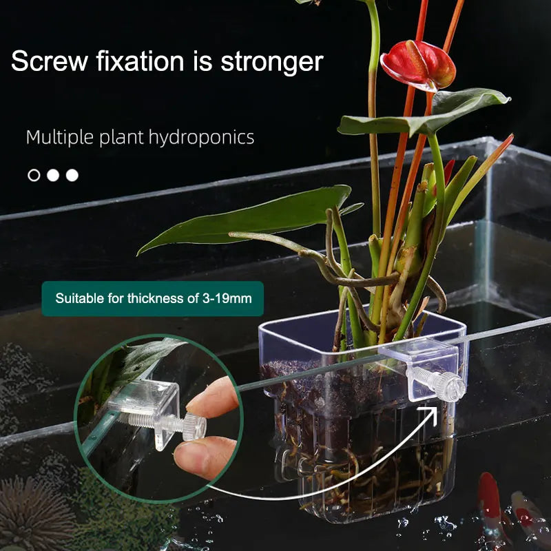 Aquarium Hydroponic Plant Cup – Water Grass Holder for Fish Tanks