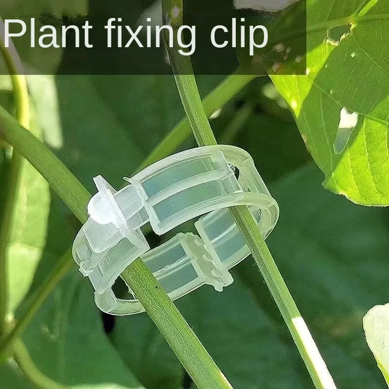 Reusable Plant Support Clips – Plastic Vine & Grafting Fixing Tools for Tomatoes & Vegetables (100-500PCS)