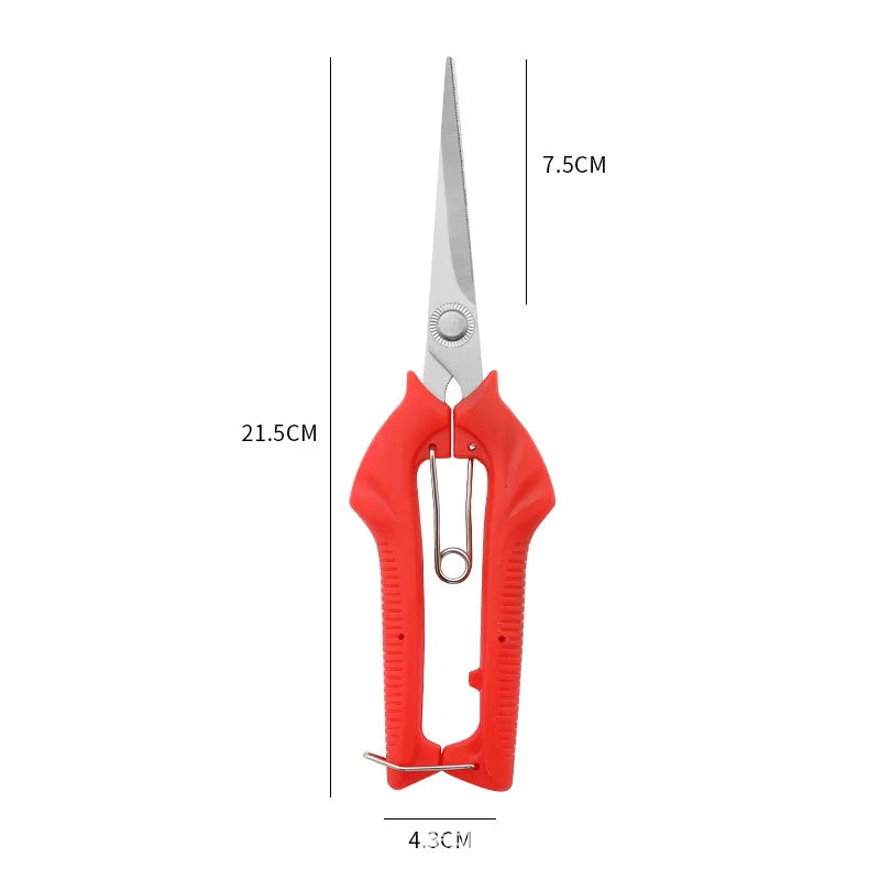 Compact Garden Pruning Shears – Stainless Steel for Fruit & Herbs