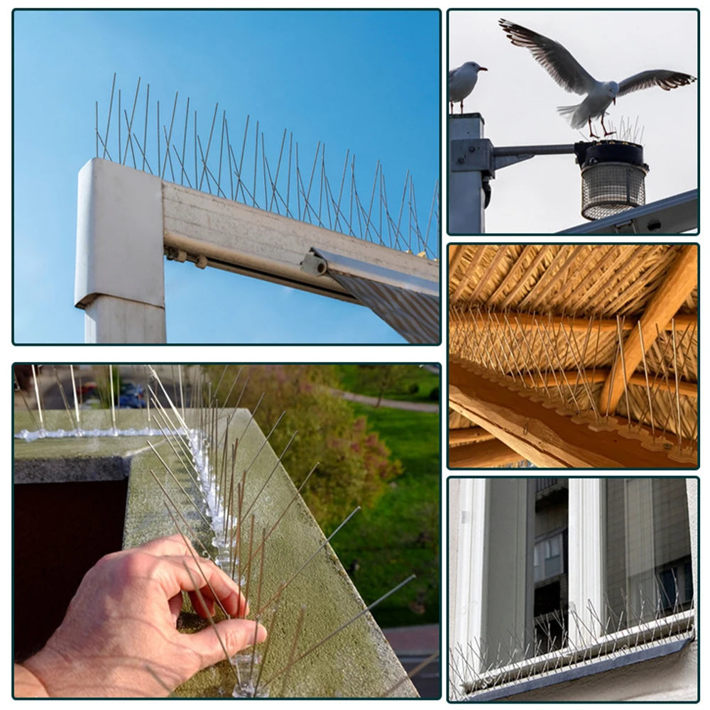 10pcs Stainless Steel Bird Repellent Spikes — Garden & Balcony Deterrent Set for Home Use