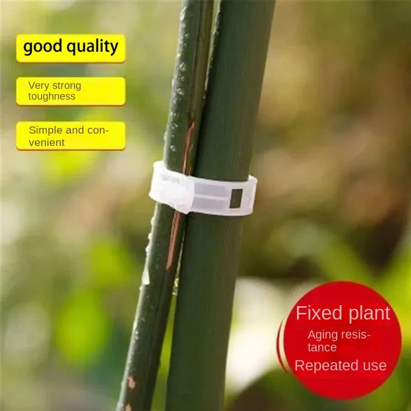 Reusable Plant Support Clips – Plastic Vine & Grafting Fixing Tools for Tomatoes & Vegetables (100-500PCS)