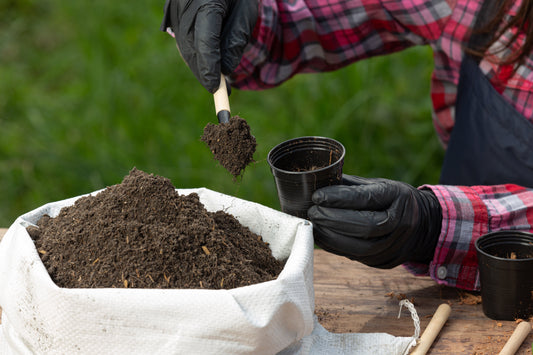 Close-up of a gardener's gloved hands scooping soil mix from a white bag into a small black planting pot.