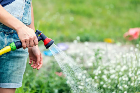 Watering Basics: Frequency, Techniques & Tools