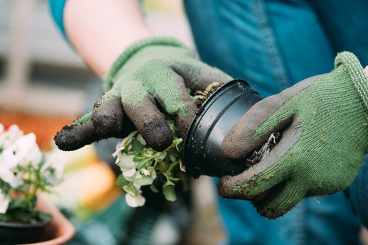 gardening gloves
