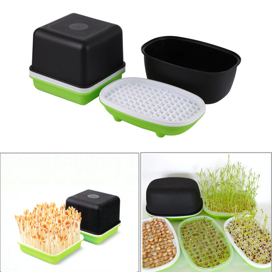 Hydroponic Sprout Box – Soilless Seedling Tray for Beans & Greens