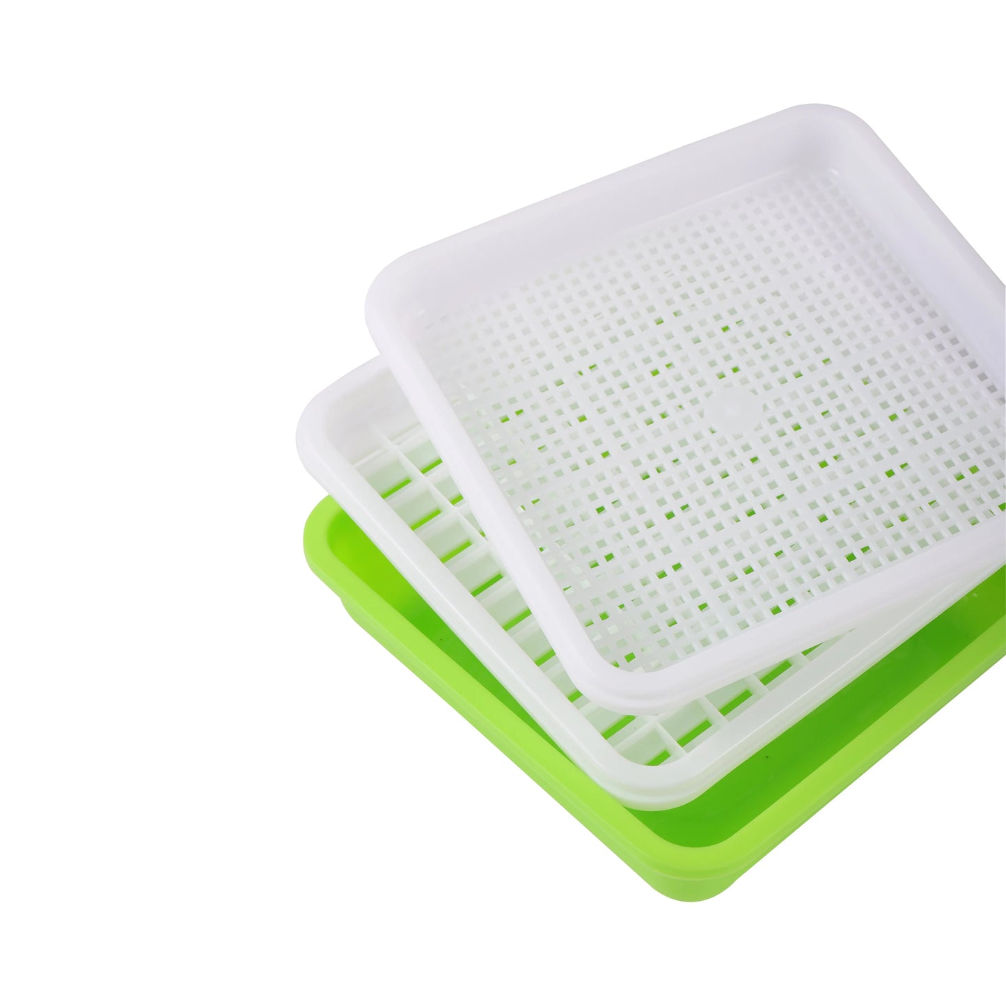 Hydroponic Sprout Box – Soilless Seedling Tray for Beans & Greens
