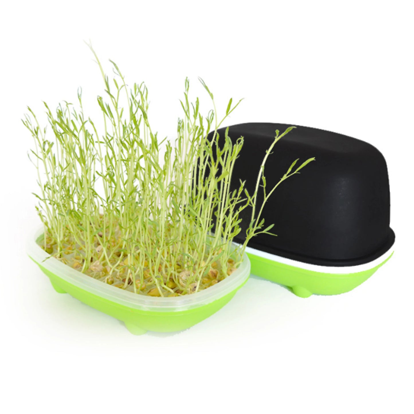Hydroponic Sprout Box – Soilless Seedling Tray for Beans & Greens