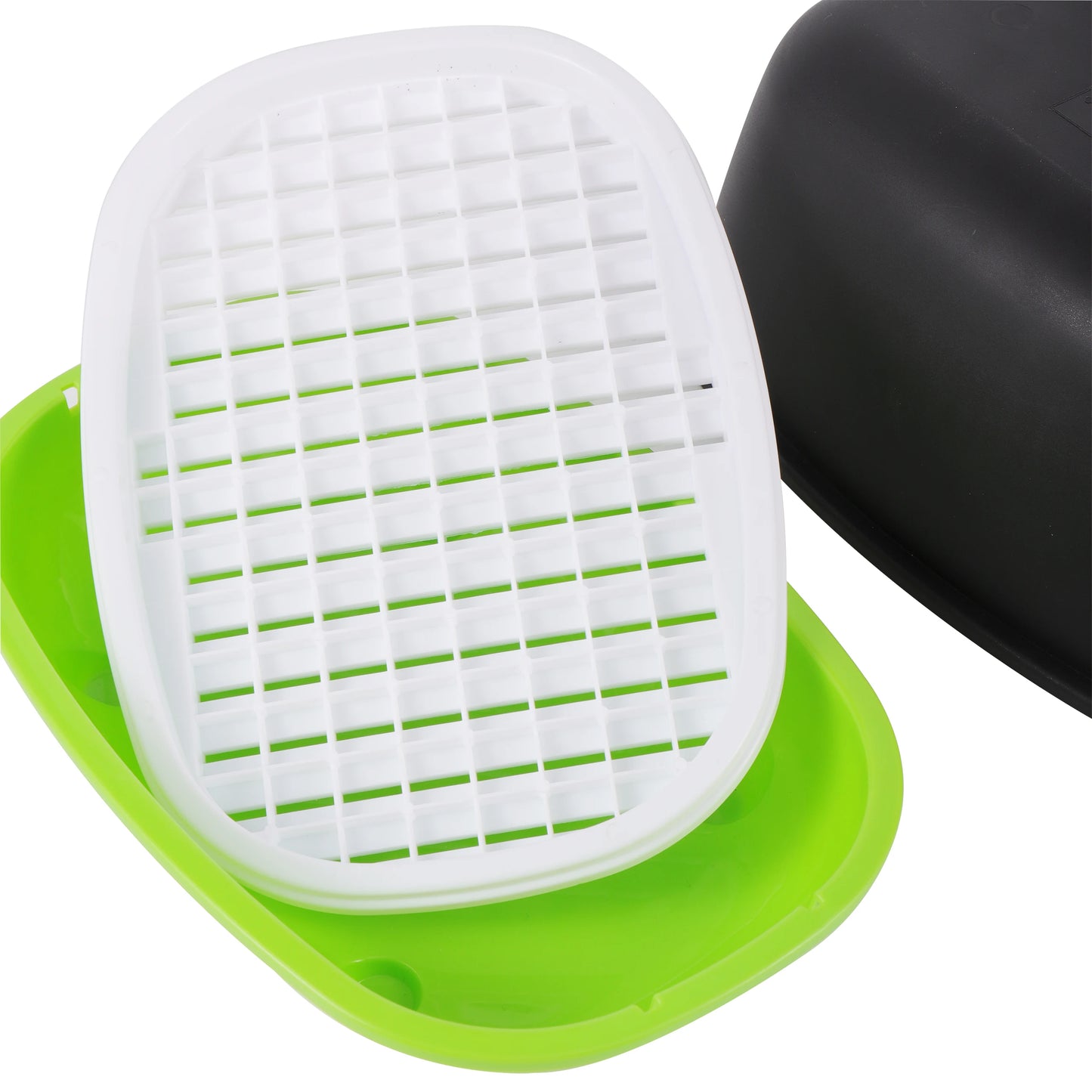 Hydroponic Sprout Box – Soilless Seedling Tray for Beans & Greens