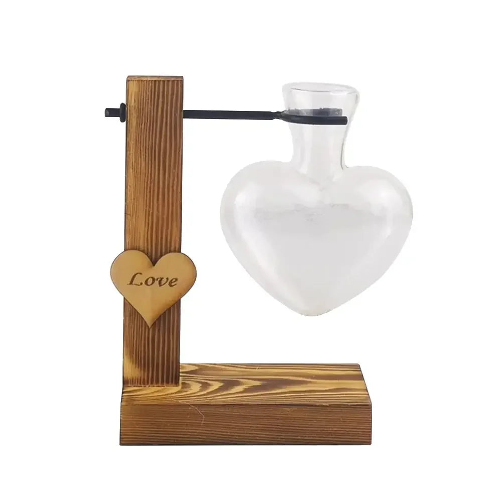 Glass Avocado Seed Starter Vase – Transparent Germination Kit