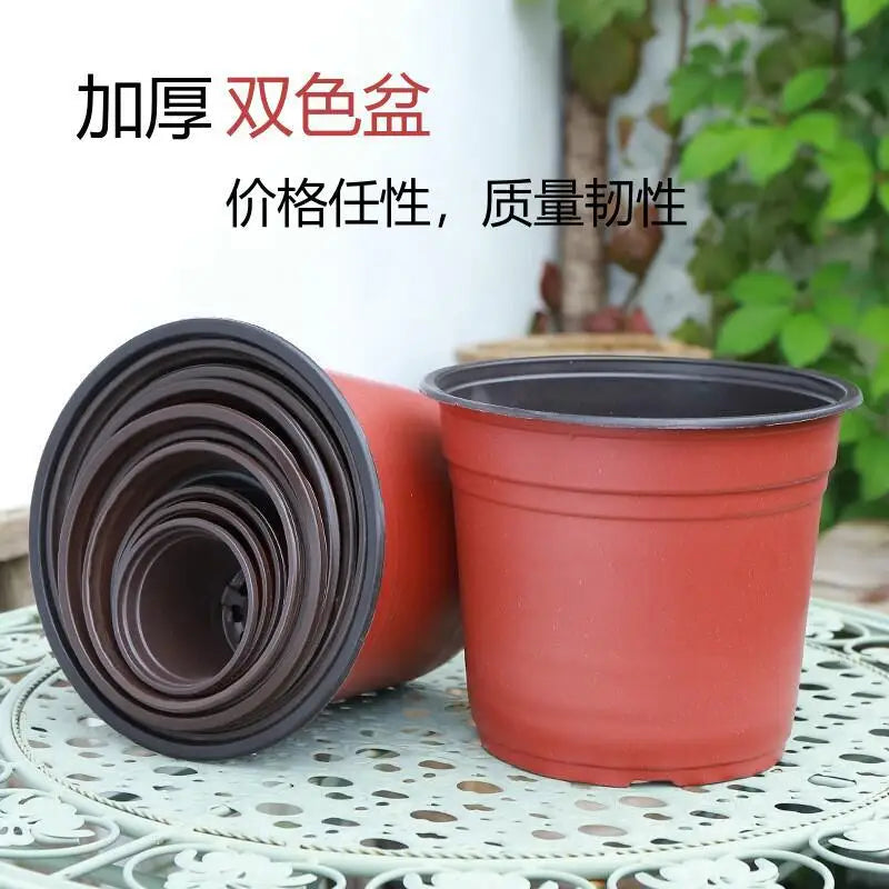 50/100pcs Plastic Nursery Pots – 9–14cm Grow Containers for Seedlings
