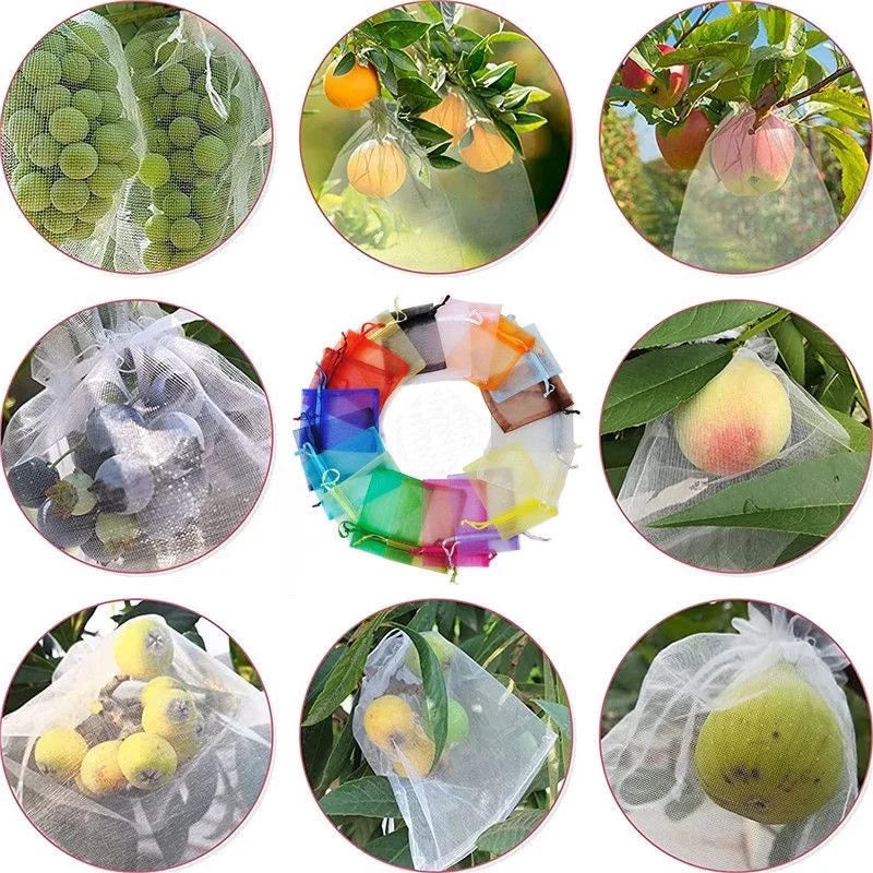 1–100pcs Green Fruit Protection Mesh Bags – Anti-Bird & Pest Netting