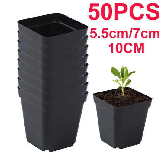 50PCS Square Seedling Pots – Durable Plastic Nursery Plant Cups