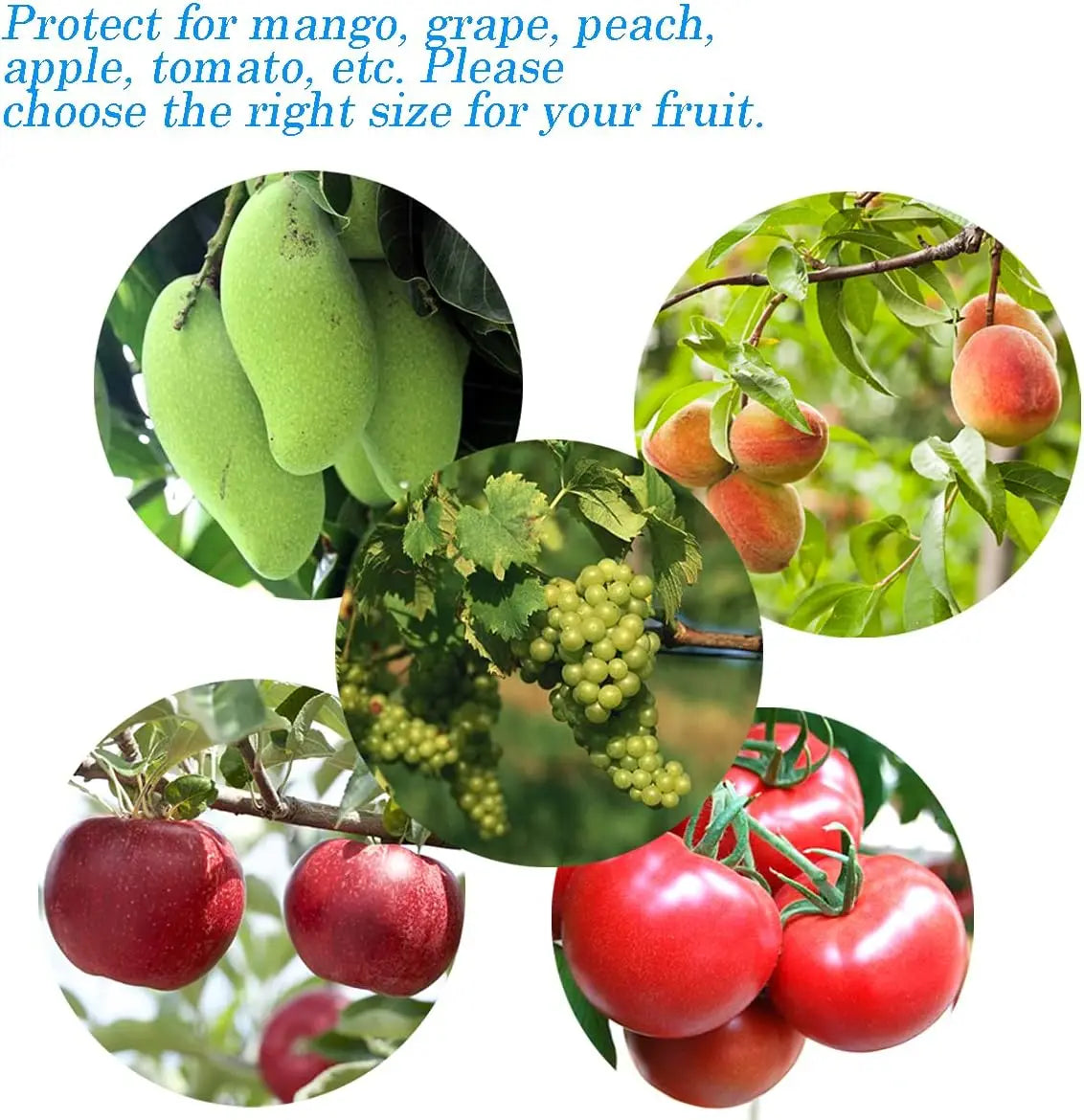100pcs Plant Protection Mesh Bags — Organza Netting for Fruit, Vegetables & Flowers (Anti-Bird)