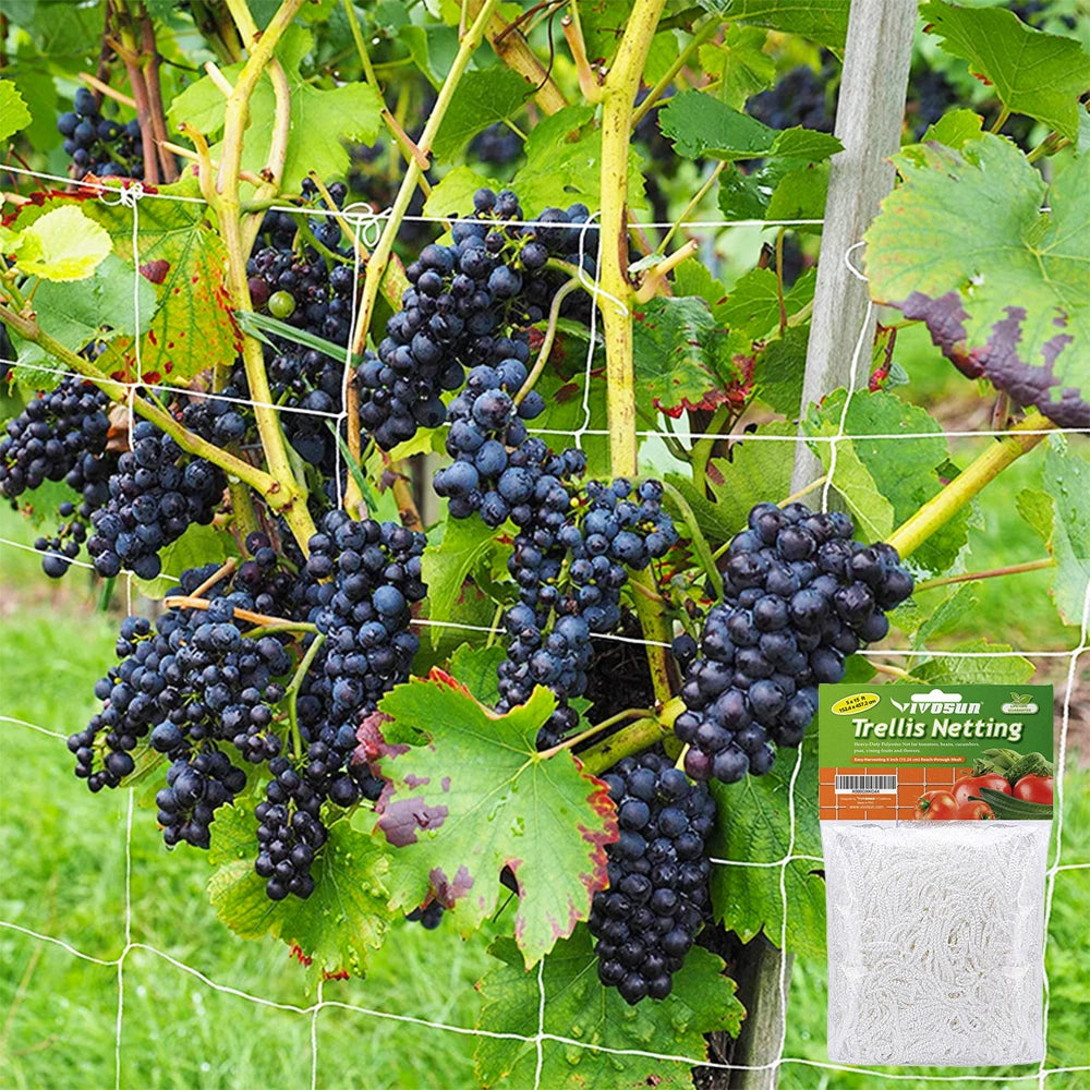 Heavy-Duty Garden Trellis Netting – Plant Support for Vines & Veggies