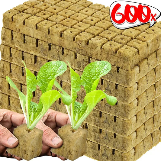 Sponge & Rock Wool Starter Plugs for Hydroponic Seed Propagation