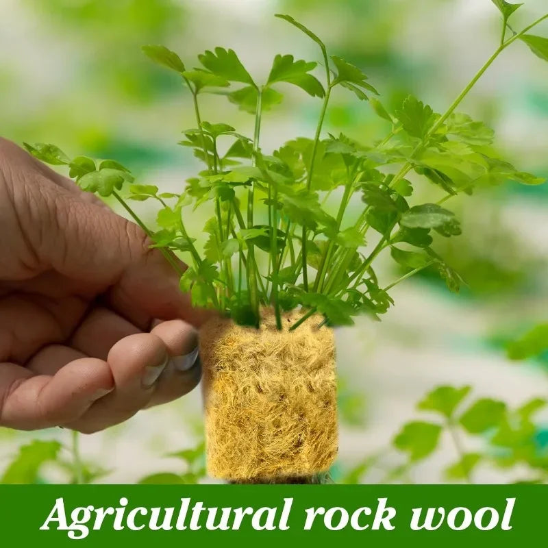 Sponge & Rock Wool Starter Plugs for Hydroponic Seed Propagation