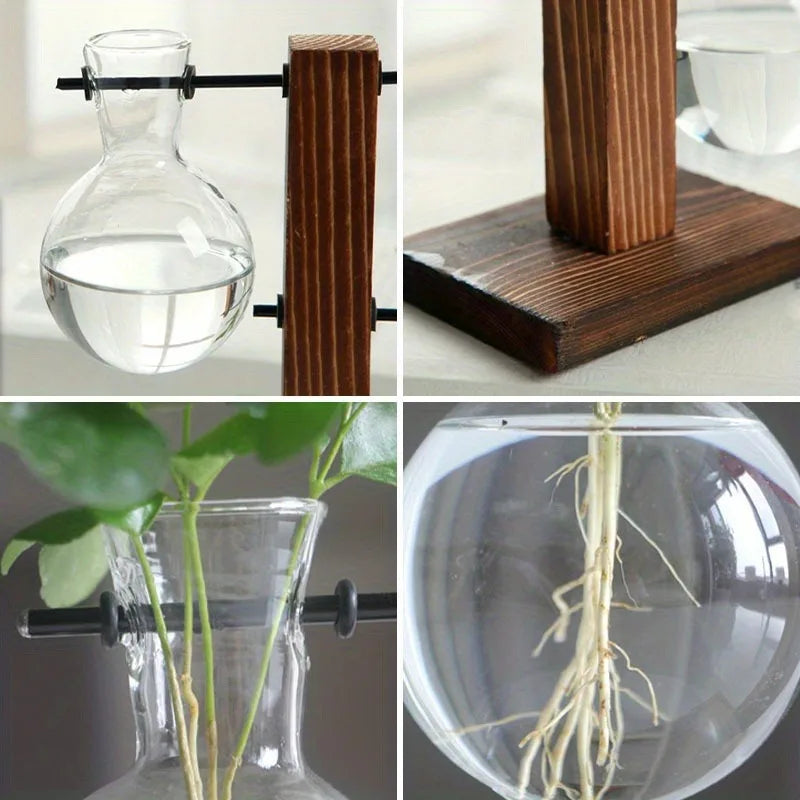 Vintage Hydroponic Glass Vase – Desktop Plant Propagation Terrarium