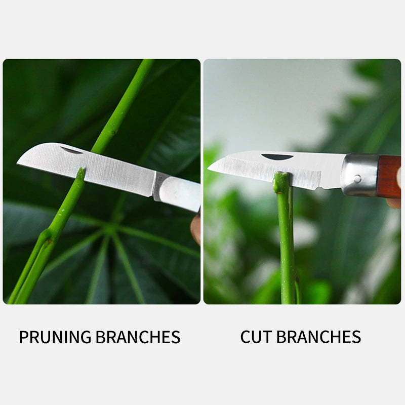 Folding Grafting Knife – Wood Handle Bonsai & Pruning Garden Tool