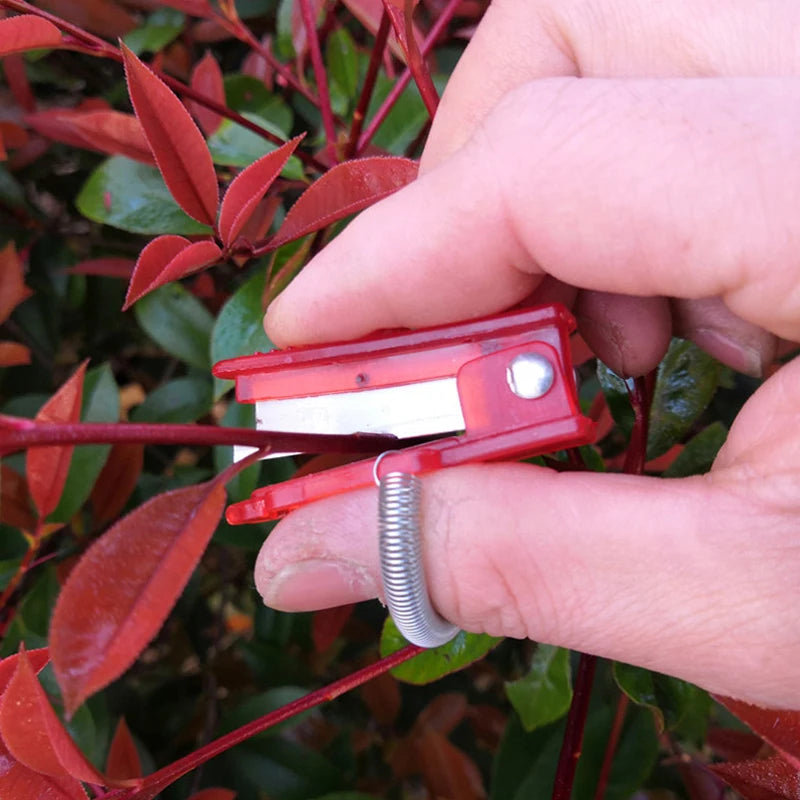 Thumb Knife Harvesting Tool – 1/2/3pcs Fruit & Veggie Picker