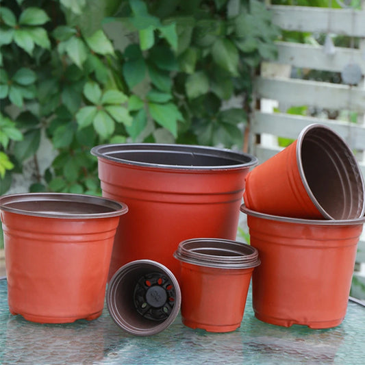 50/100pcs Plastic Nursery Pots – 9–14cm Grow Containers for Seedlings