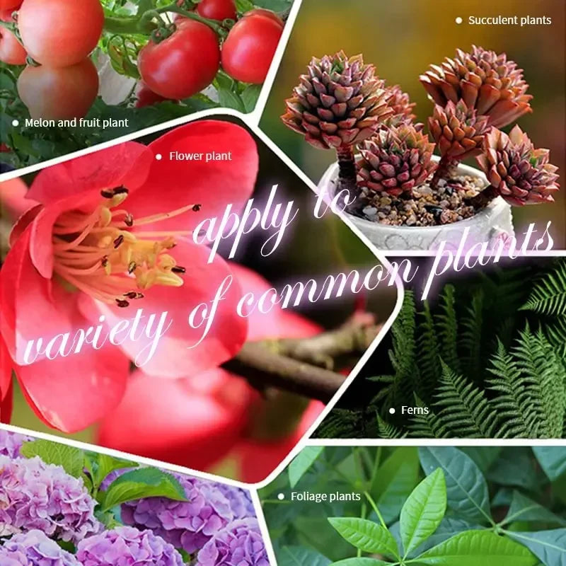 100g Organic Slow-Release Fertilizer Tablets for All Plants