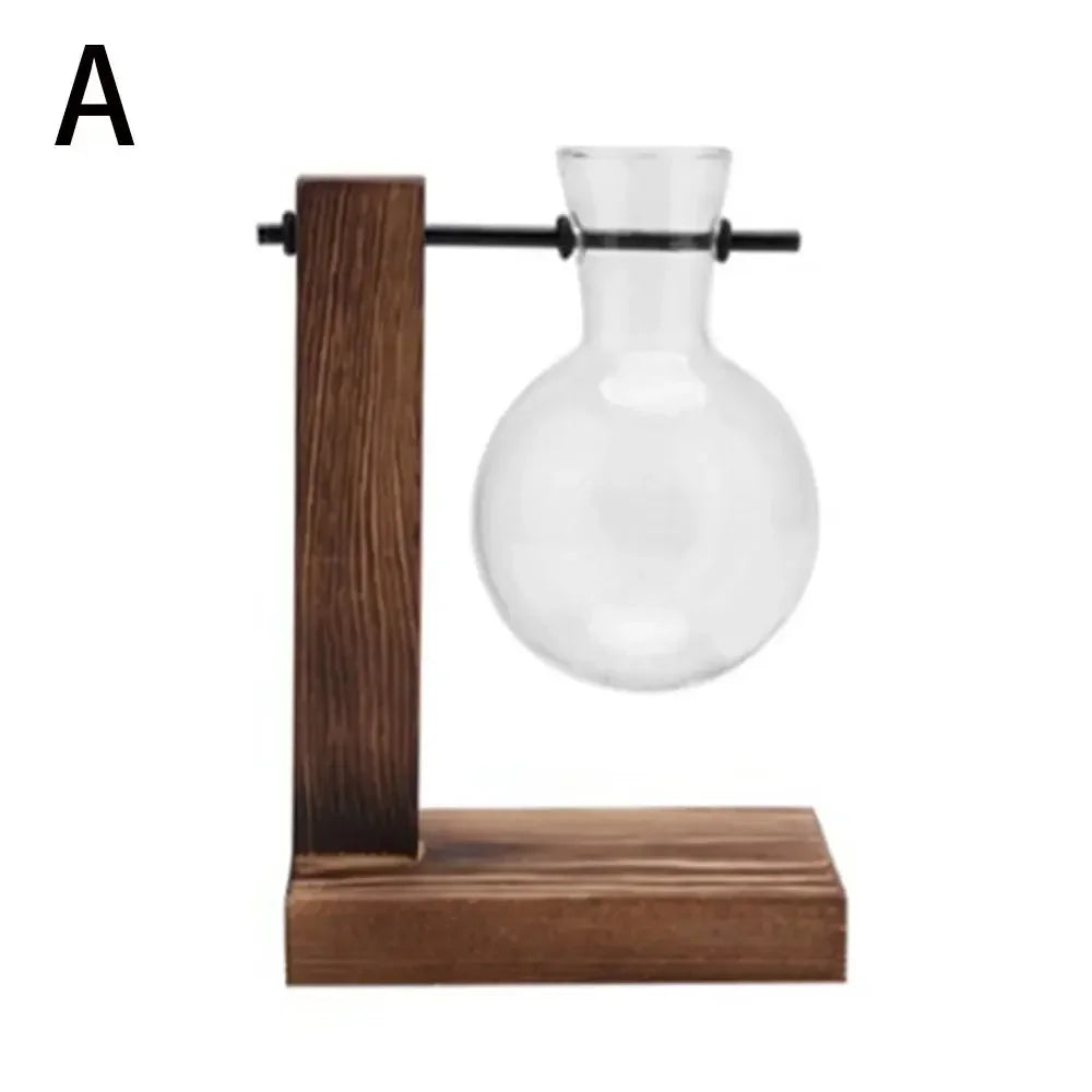 Glass Avocado Seed Starter Vase – Transparent Germination Kit
