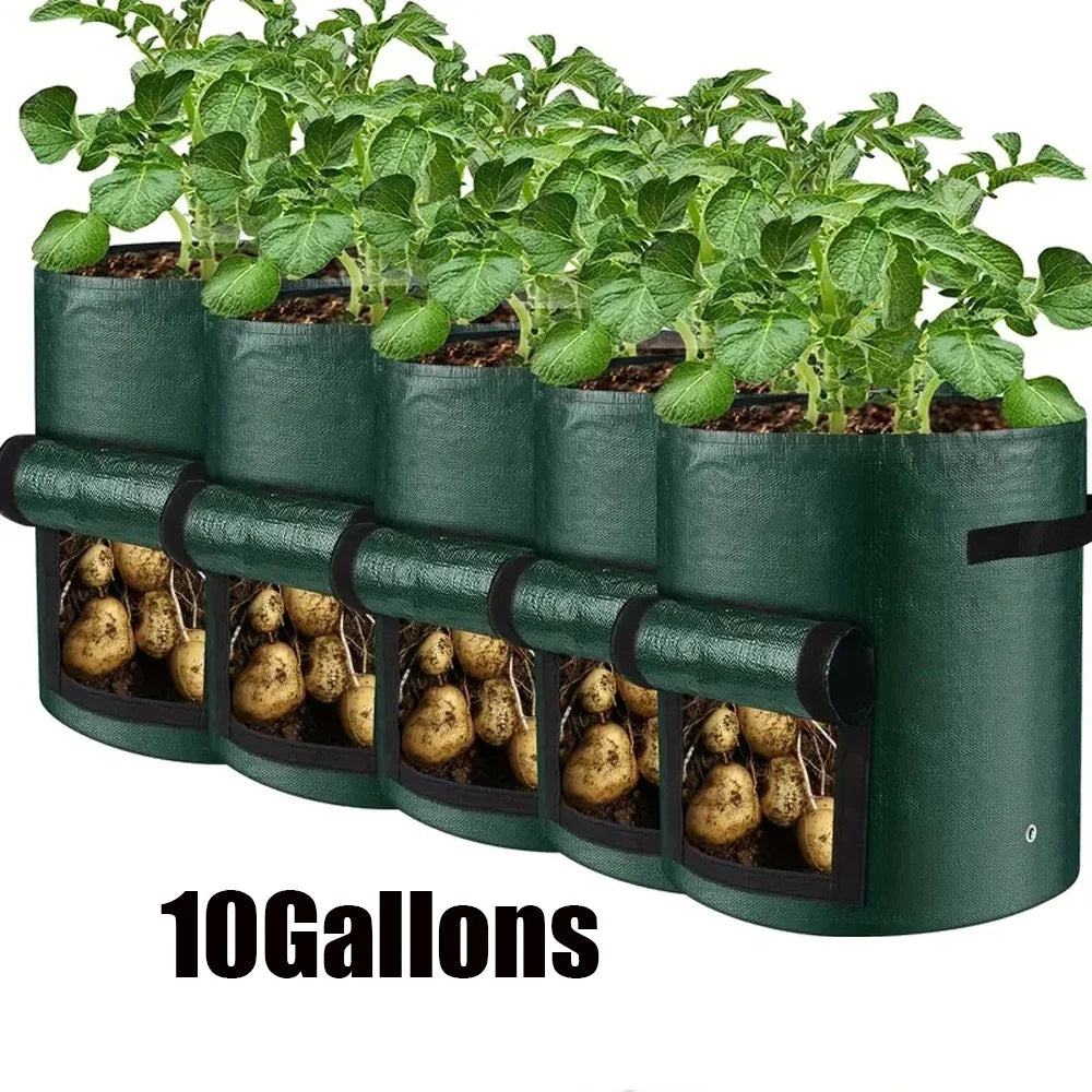 5-Pack Heavy-Duty Vegetable Grow Bags – Breathable PE Planters
